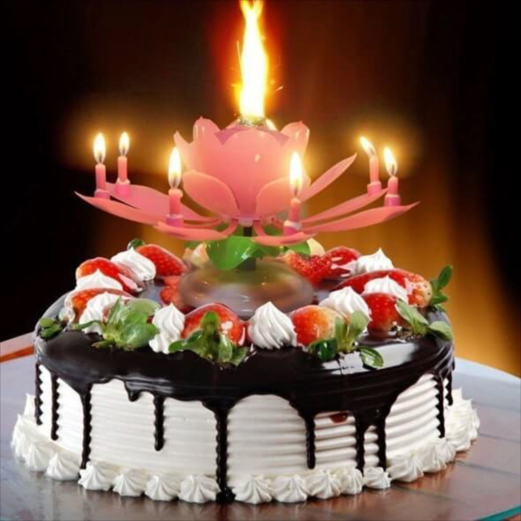 Only $9.98 Today!!--Upgrade Multicolor Rotating Lotus Cake Candle(Buy 10 Get 20 Free)